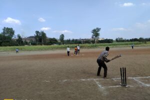 cricket 2