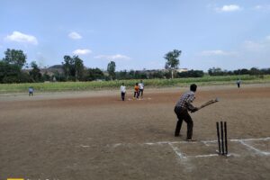 cricket 2